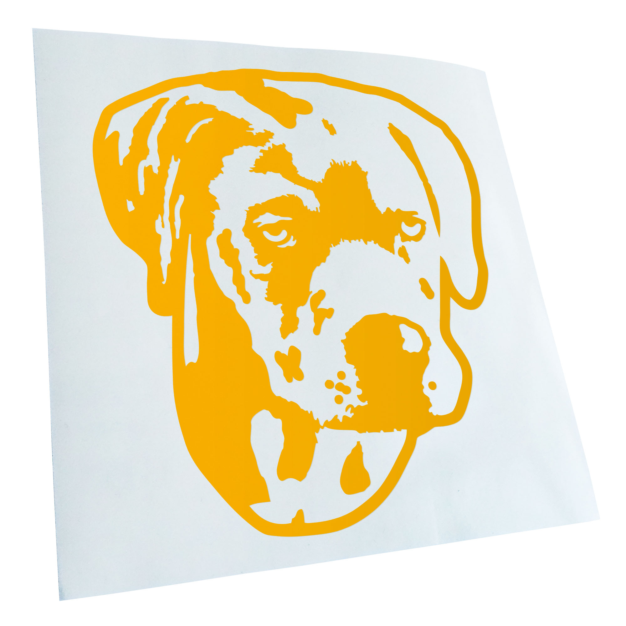 Autoaufkleber Catahoula Leopard Dog Hund Laptop Fahrrad LKW Motorrad JDM - Picture 29 of 175