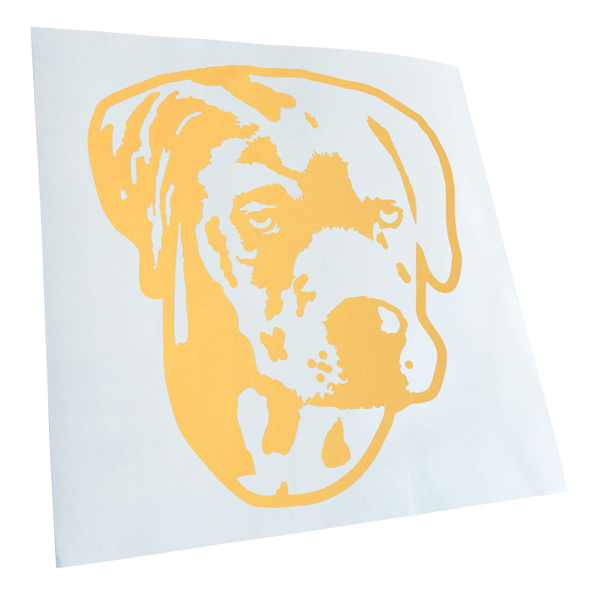 Autoaufkleber Catahoula Leopard Dog Hund Laptop Fahrrad LKW Motorrad JDM - Picture 36 of 175