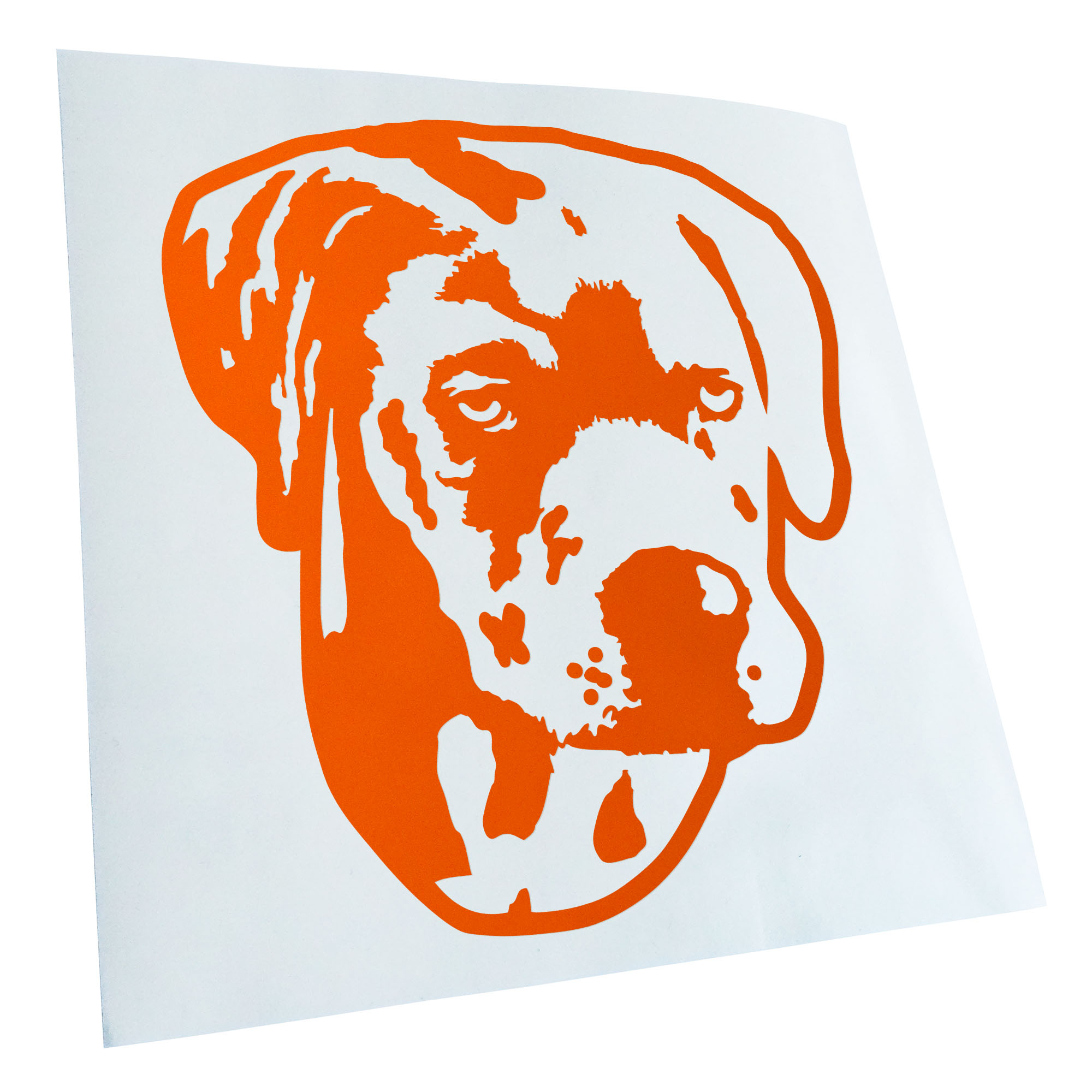 Autoaufkleber Catahoula Leopard Dog Hund Laptop Fahrrad LKW Motorrad JDM - Picture 50 of 175