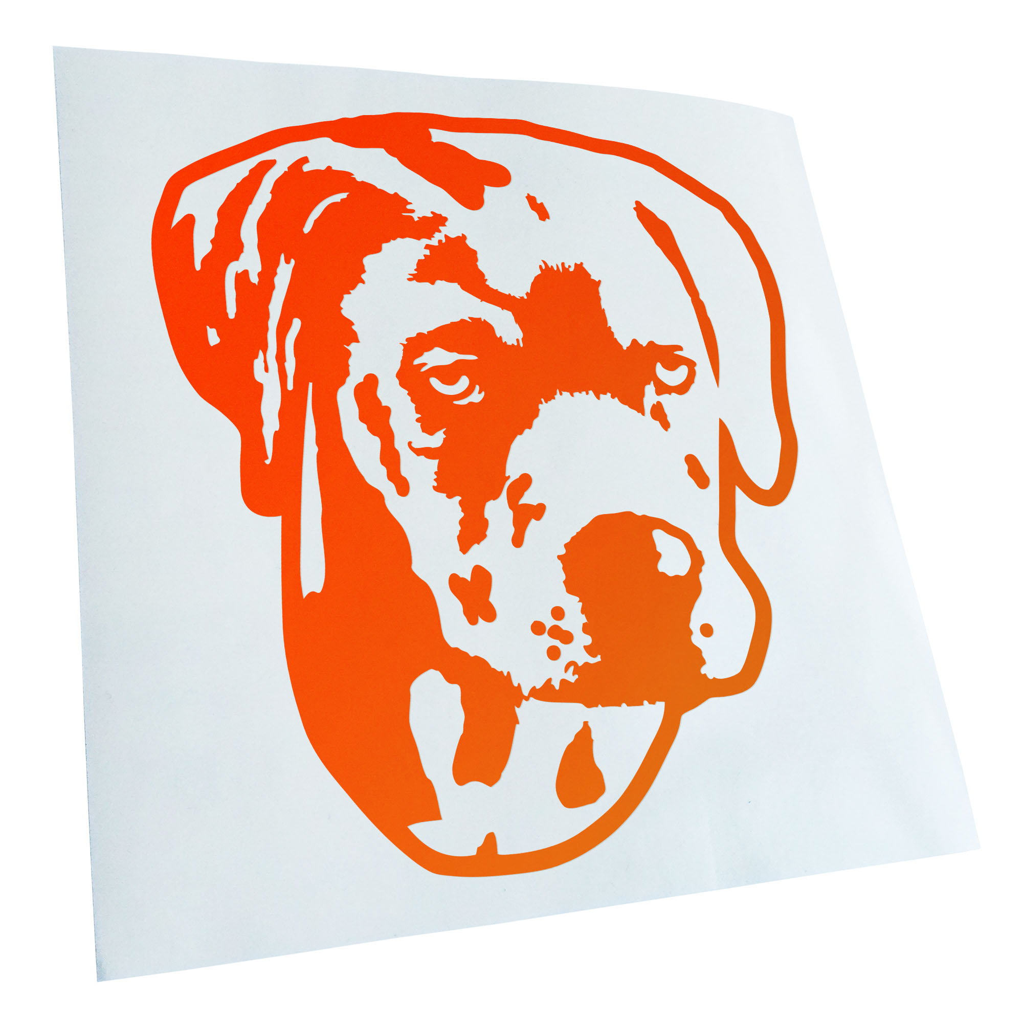 Autoaufkleber Catahoula Leopard Dog Hund Laptop Fahrrad LKW Motorrad JDM - Picture 57 of 175