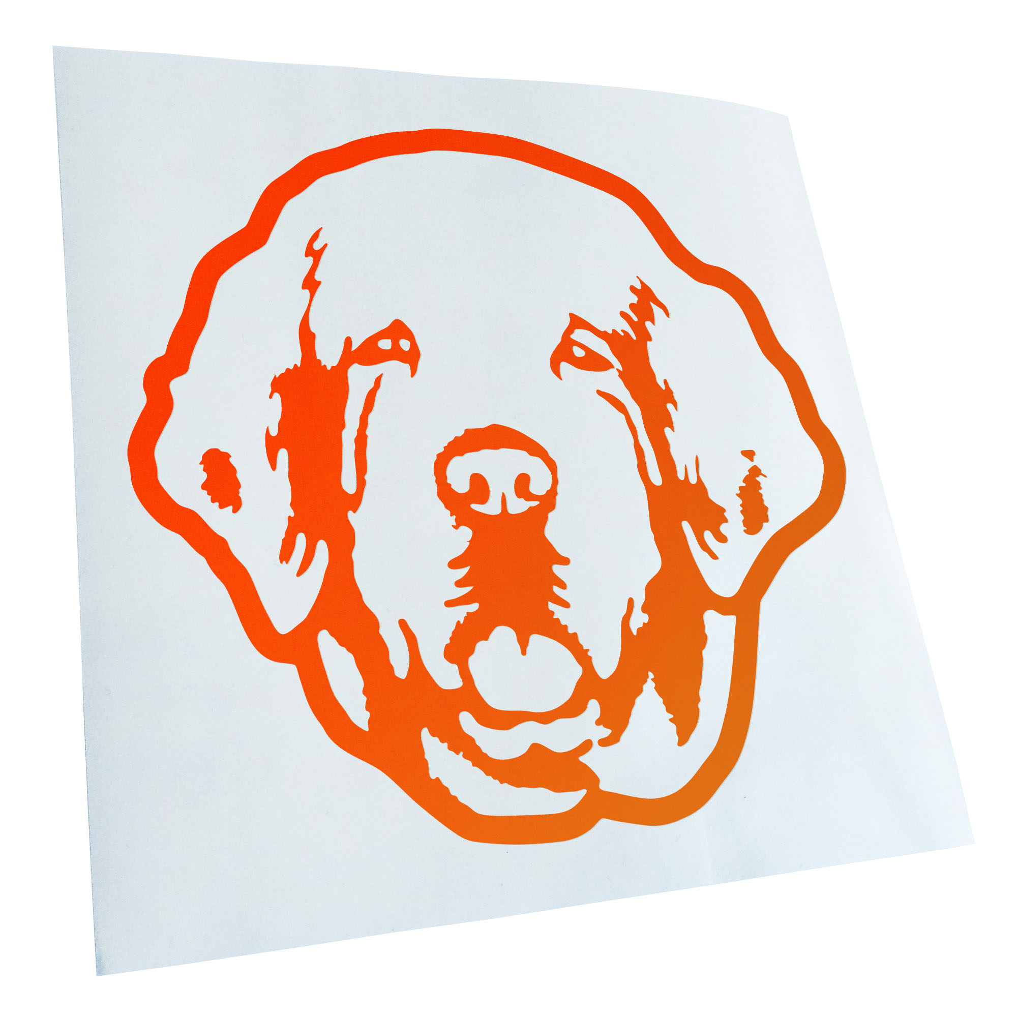 Autoaufkleber Clumber Spaniel Hund Laptop Fahrrad LKW Motorrad JDM - Picture 57 of 175