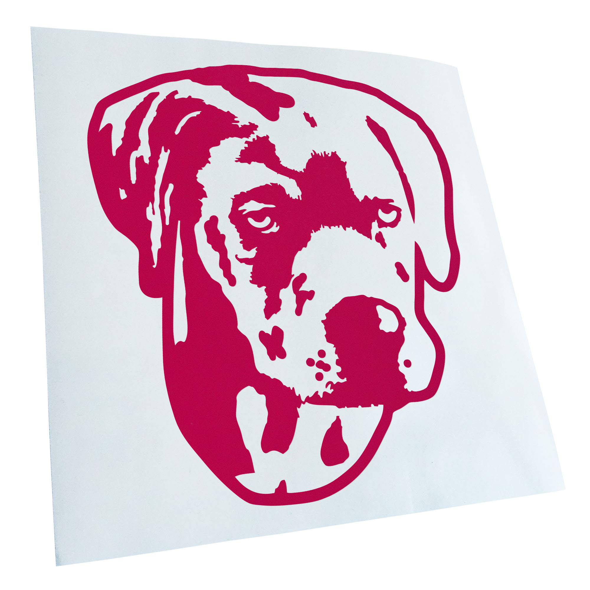 Autoaufkleber Catahoula Leopard Dog Hund Laptop Fahrrad LKW Motorrad JDM - Picture 64 of 175