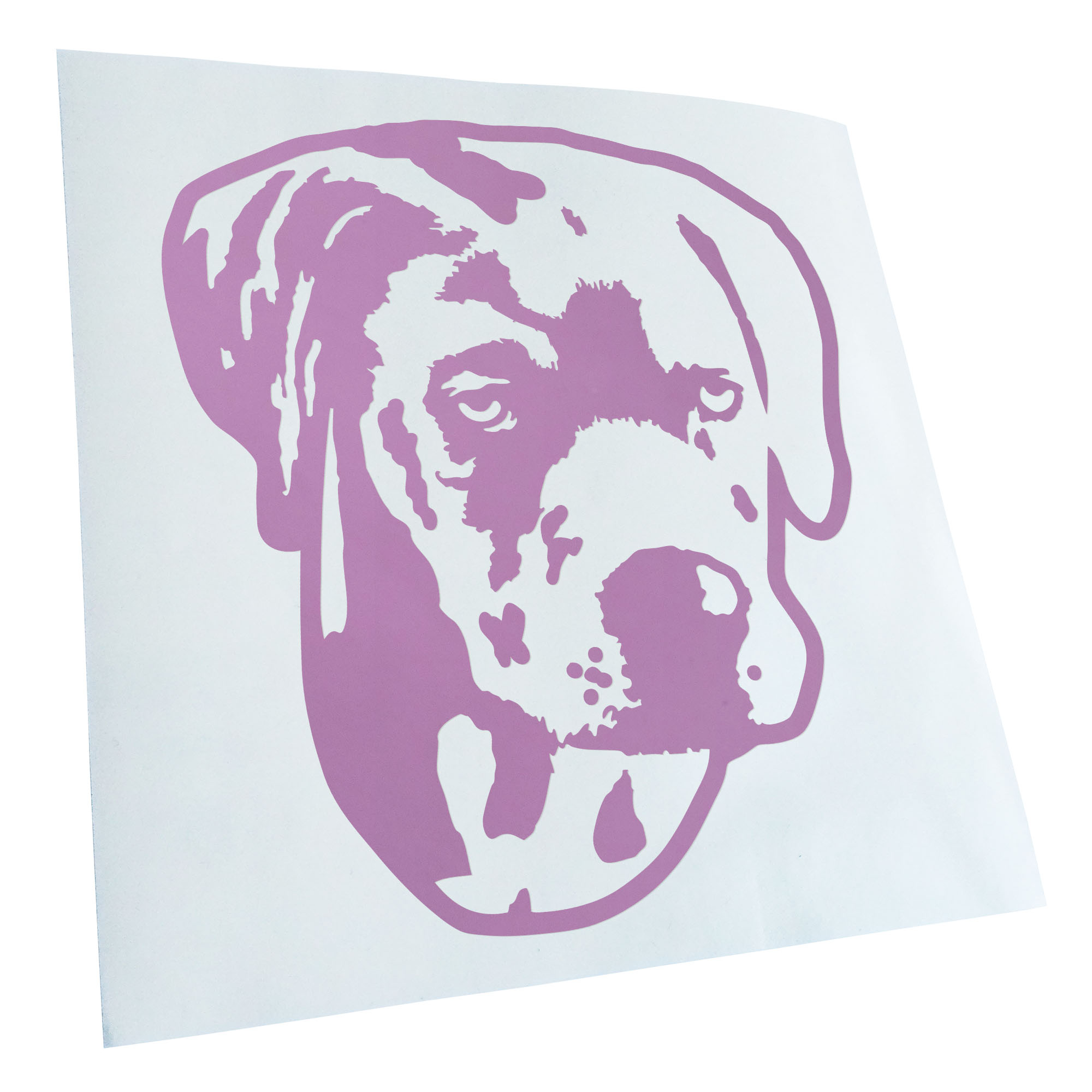 Autoaufkleber Catahoula Leopard Dog Hund Laptop Fahrrad LKW Motorrad JDM - Picture 71 of 175