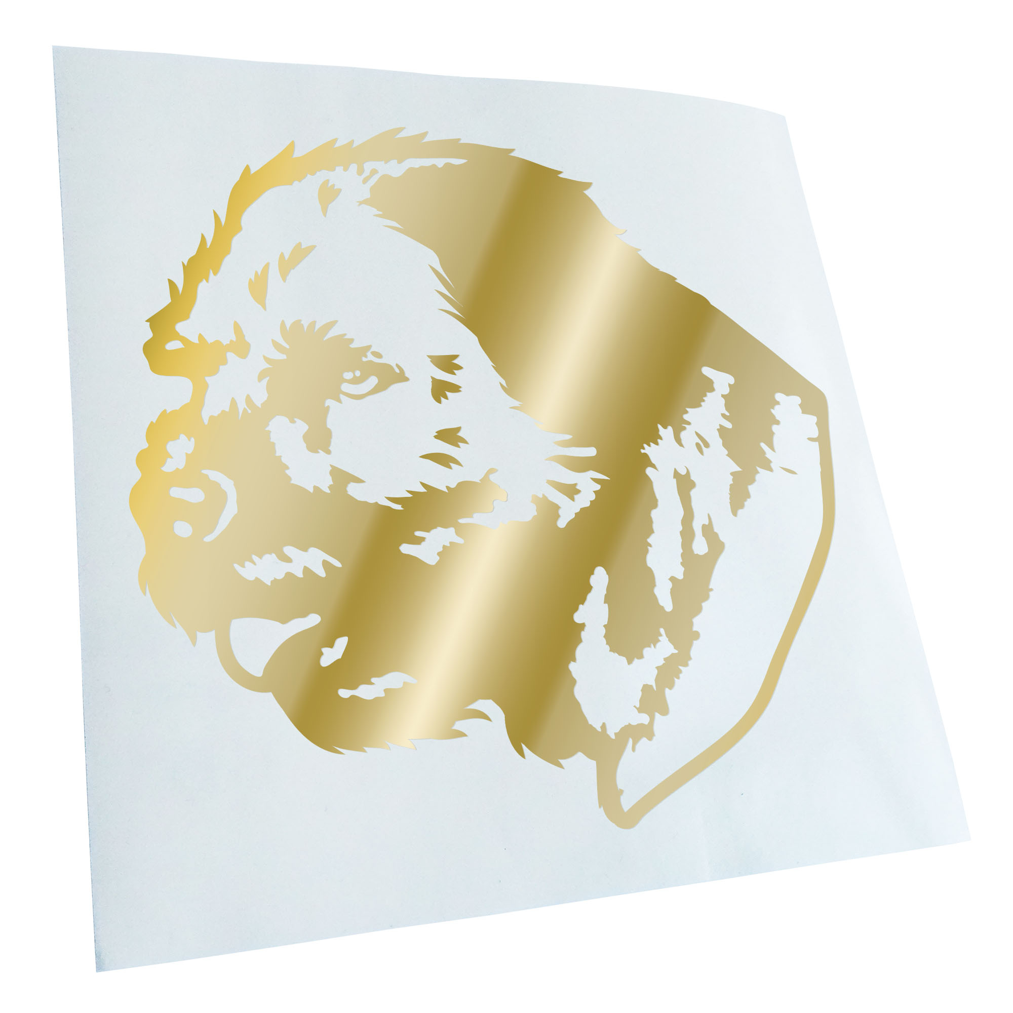 Autoaufkleber Border Terrier Hund Laptop Fahrrad LKW Motorrad JDM - Picture 148 of 175