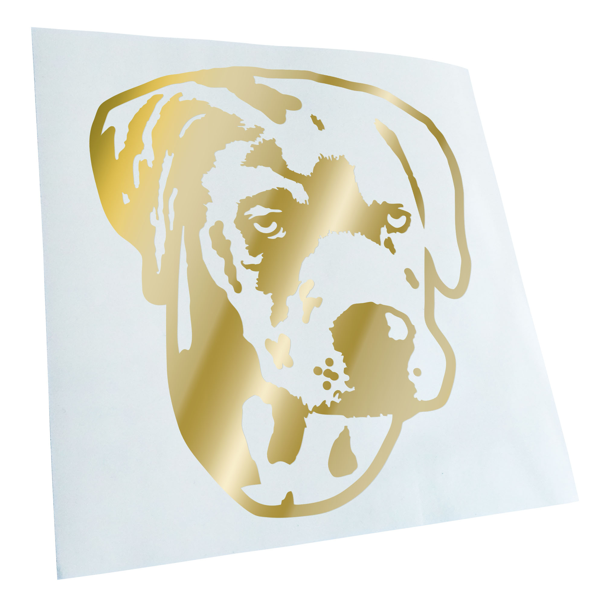 Autoaufkleber Catahoula Leopard Dog Hund Laptop Fahrrad LKW Motorrad JDM - Picture 148 of 175