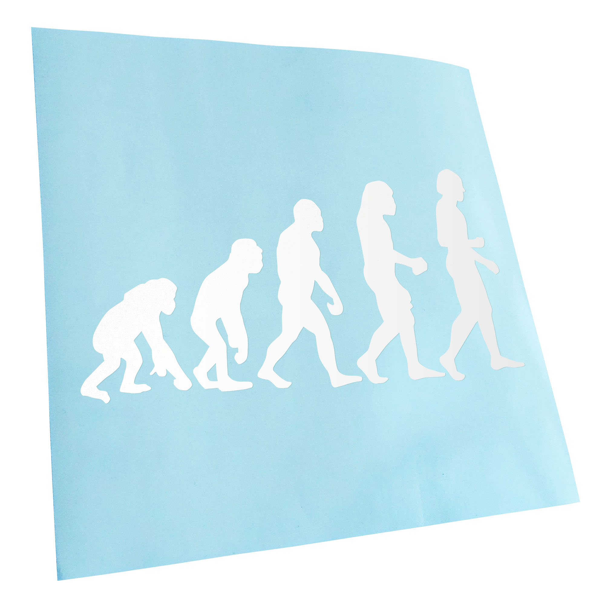 Autoaufkleber Evolution Charles Darwin Selbstklebend Fahrrad LKW - Picture 22 of 182