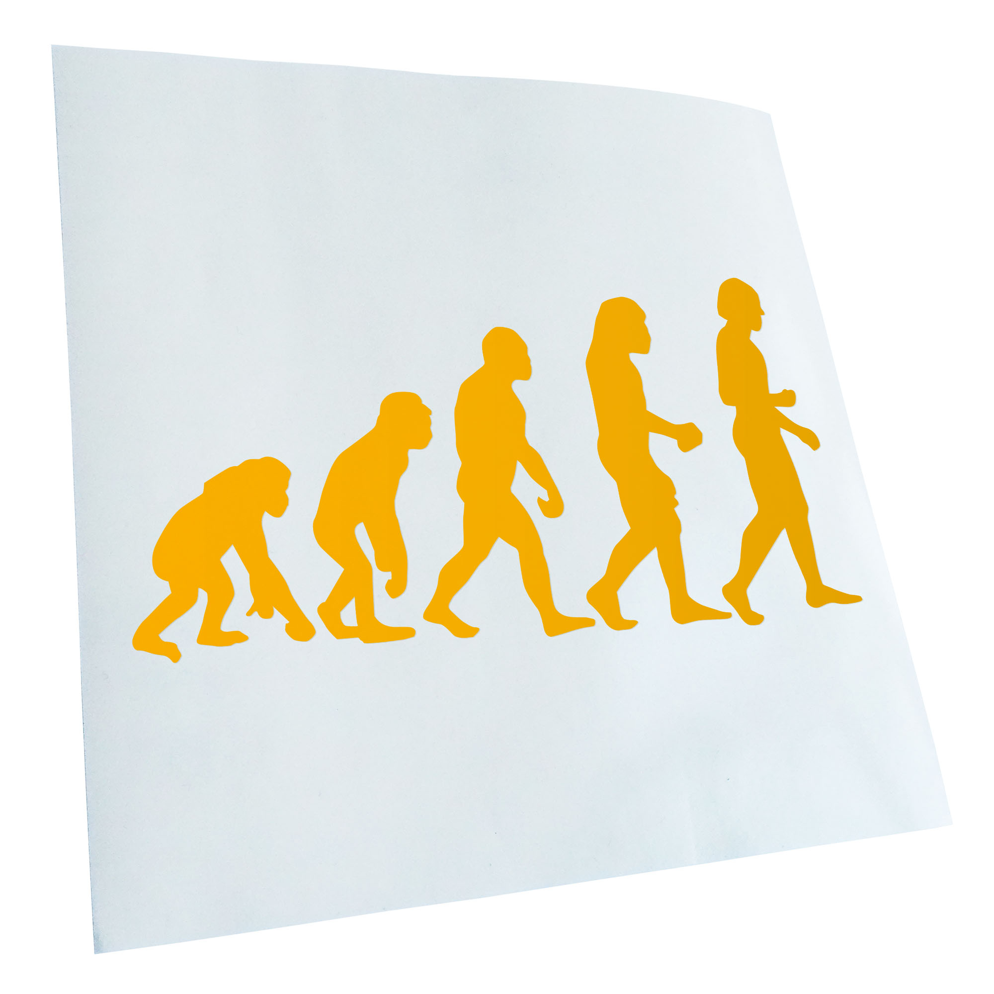 Autoaufkleber Evolution Charles Darwin Selbstklebend Fahrrad LKW - Picture 29 of 182