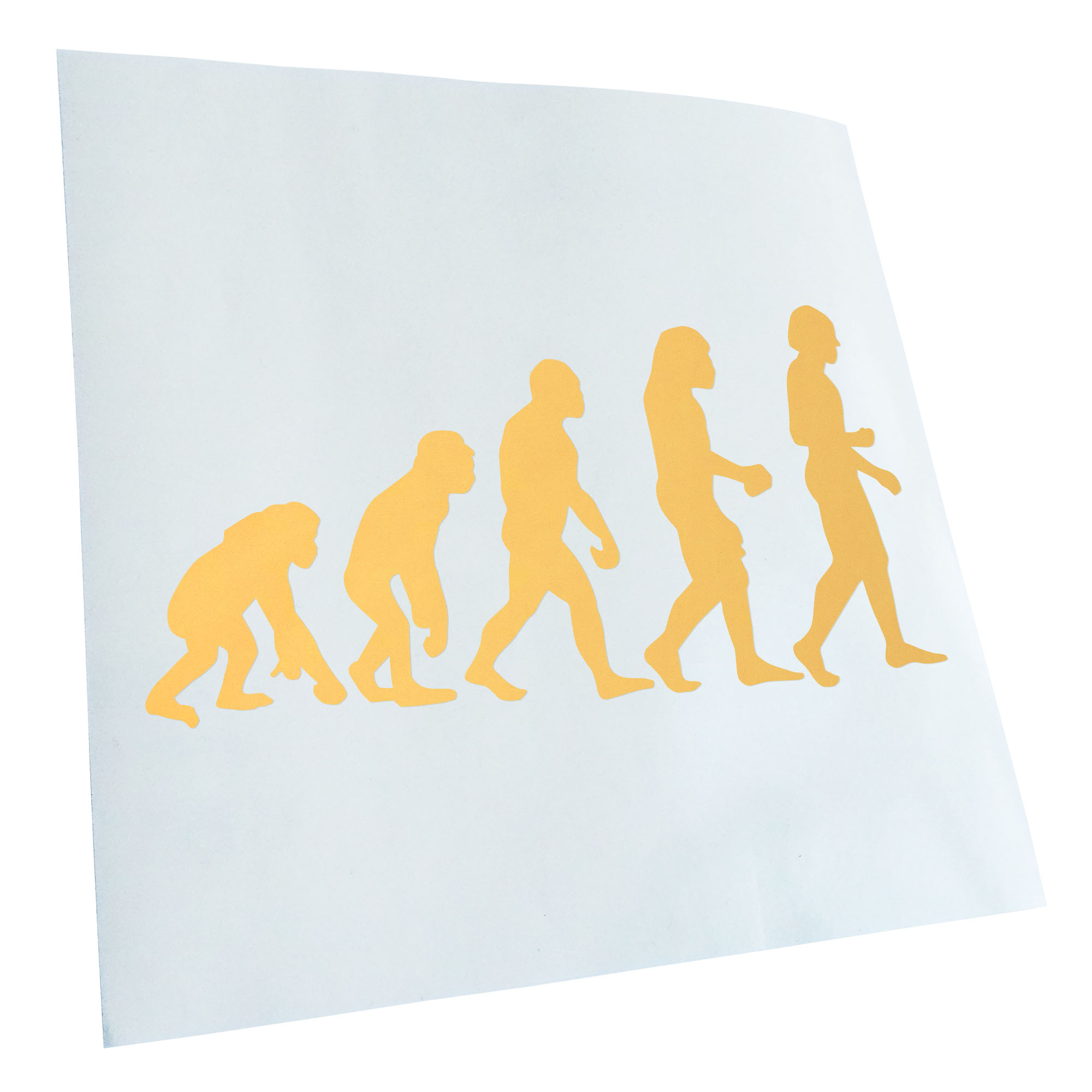 Autoaufkleber Evolution Charles Darwin Selbstklebend Fahrrad LKW - Picture 36 of 182