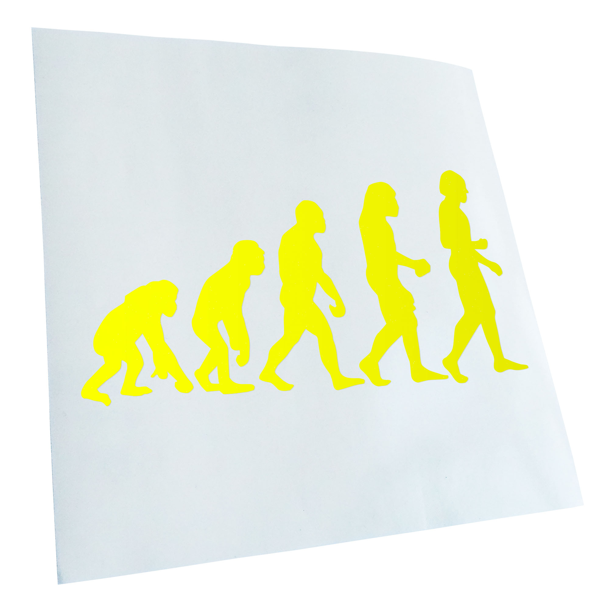 Autoaufkleber Evolution Charles Darwin Selbstklebend Fahrrad LKW - Picture 43 of 182