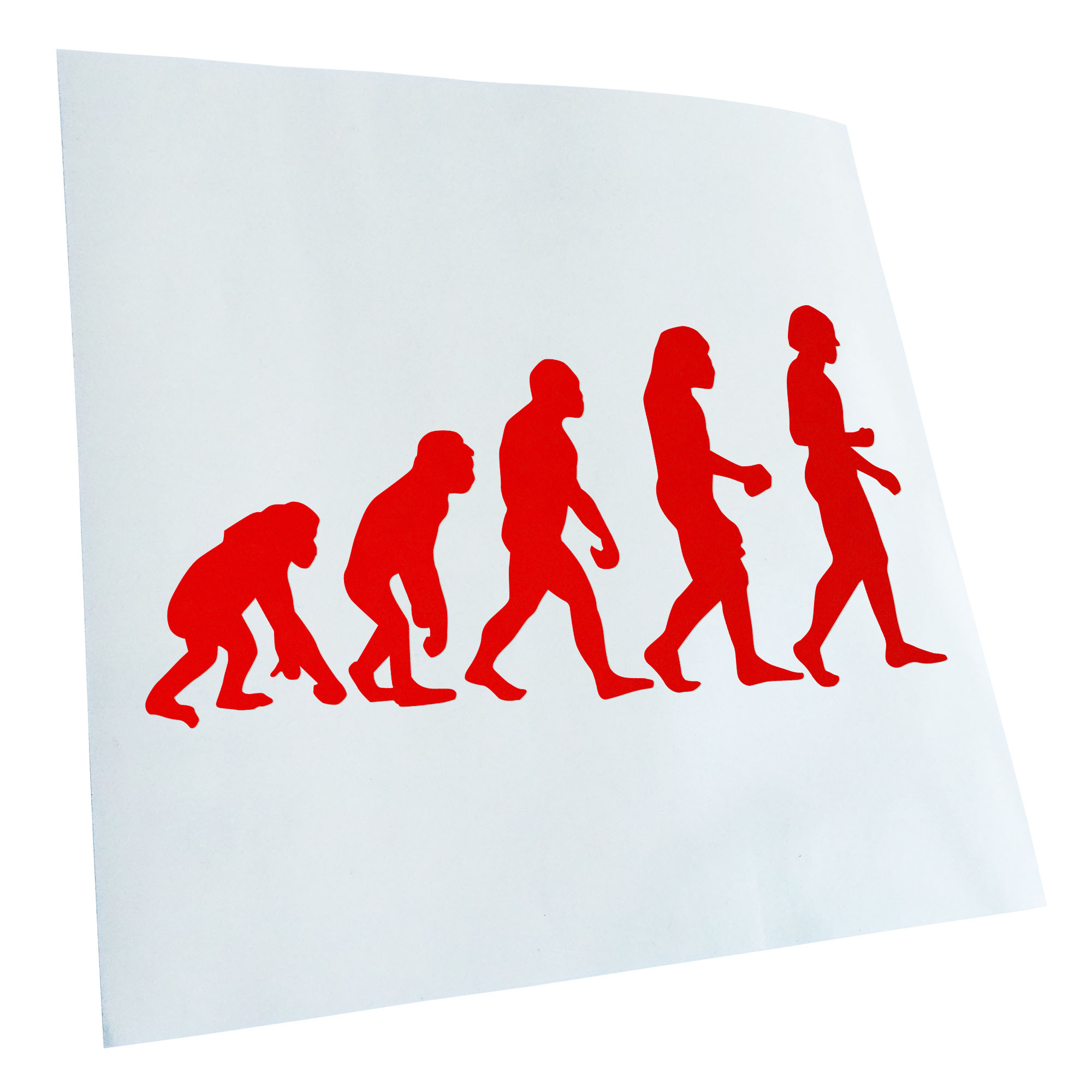 Autoaufkleber Evolution Charles Darwin Selbstklebend Fahrrad LKW - Picture 50 of 182