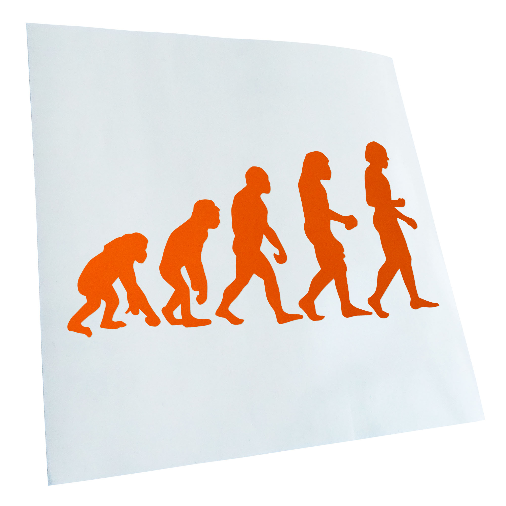 Autoaufkleber Evolution Charles Darwin Selbstklebend Fahrrad LKW - Picture 57 of 182