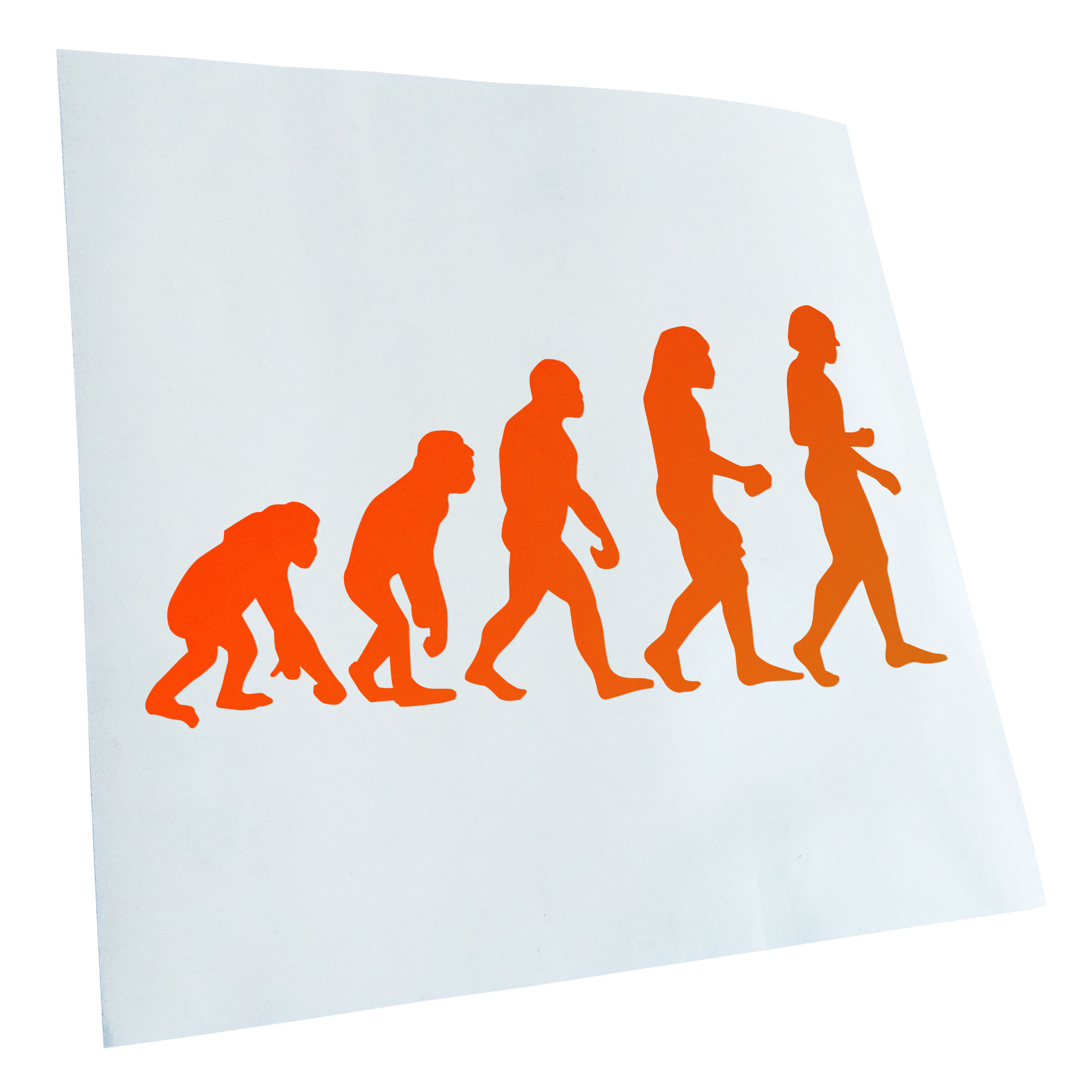 Autoaufkleber Evolution Charles Darwin Selbstklebend Fahrrad LKW - Picture 64 of 182