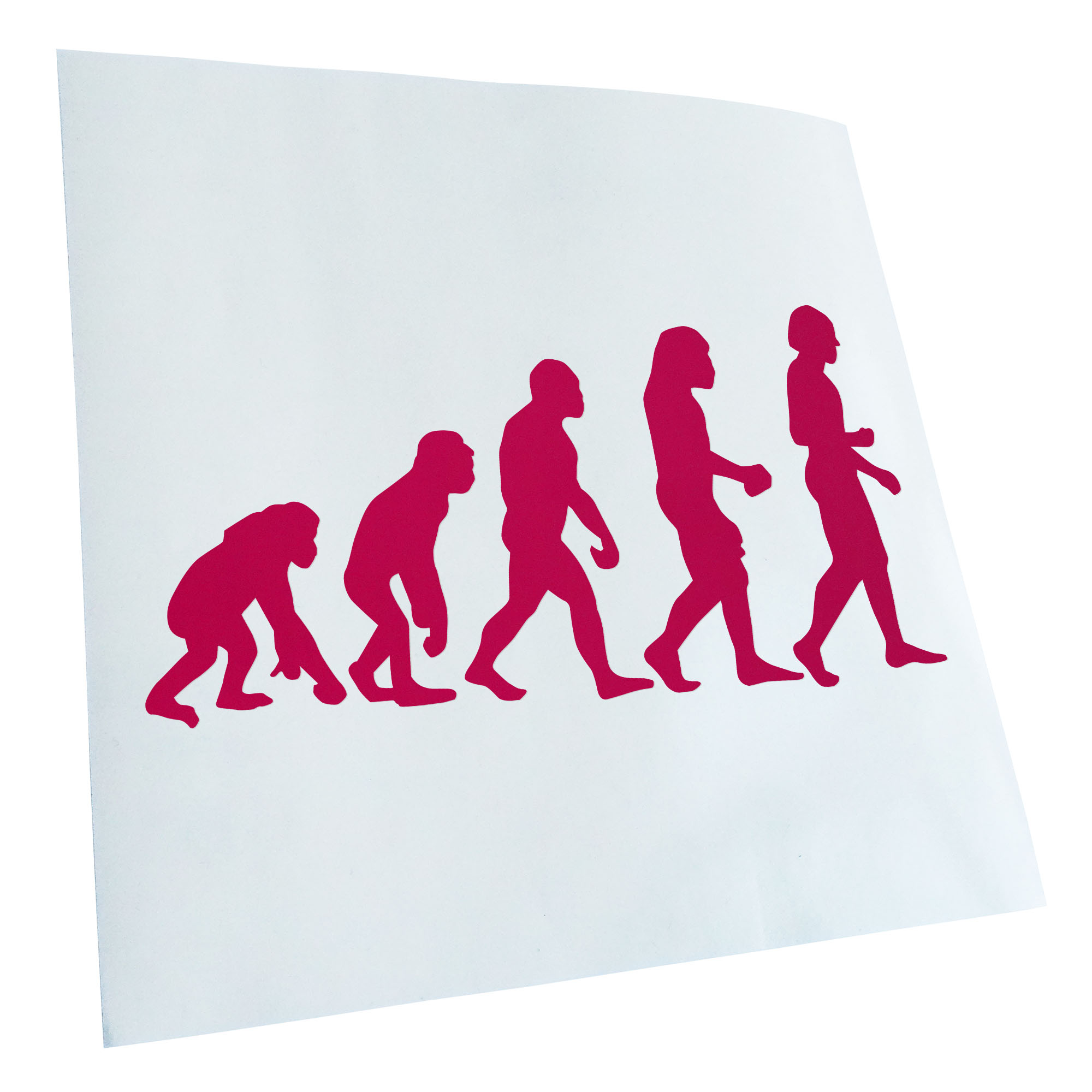 Autoaufkleber Evolution Charles Darwin Selbstklebend Fahrrad LKW - Picture 71 of 182