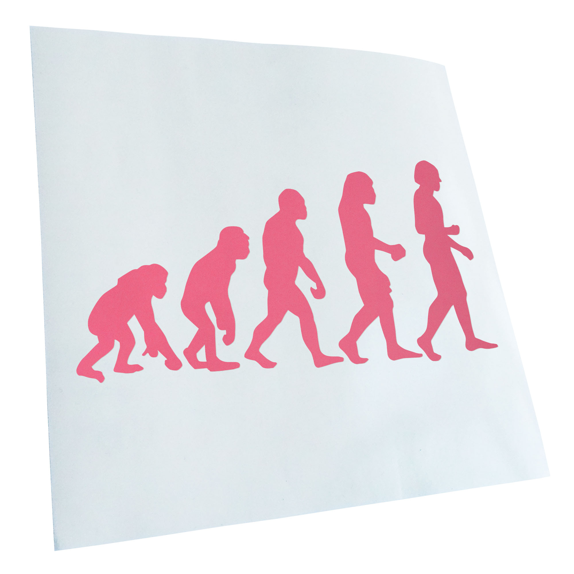 Autoaufkleber Evolution Charles Darwin Selbstklebend Fahrrad LKW - Picture 85 of 182