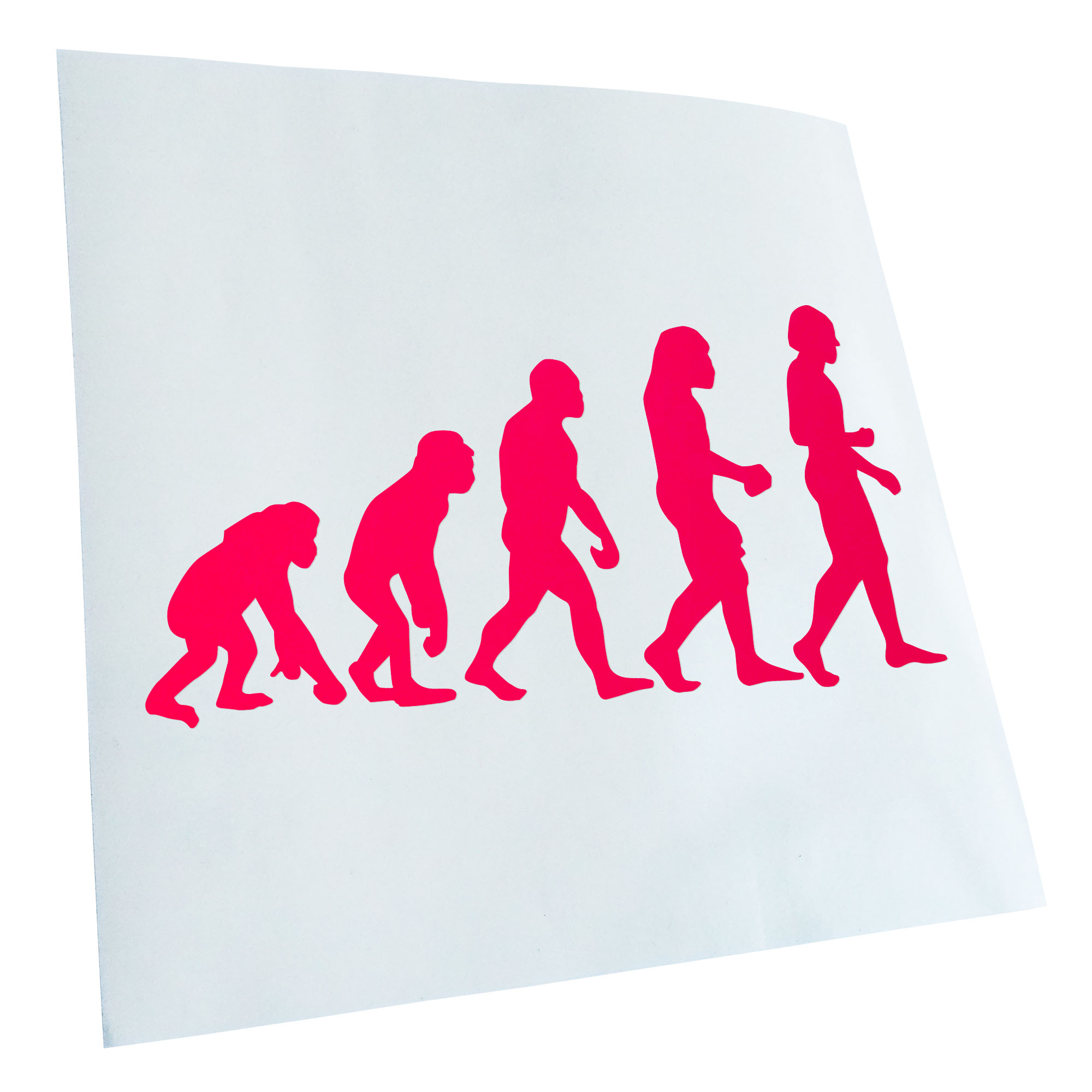 Autoaufkleber Evolution Charles Darwin Selbstklebend Fahrrad LKW - Picture 92 of 182