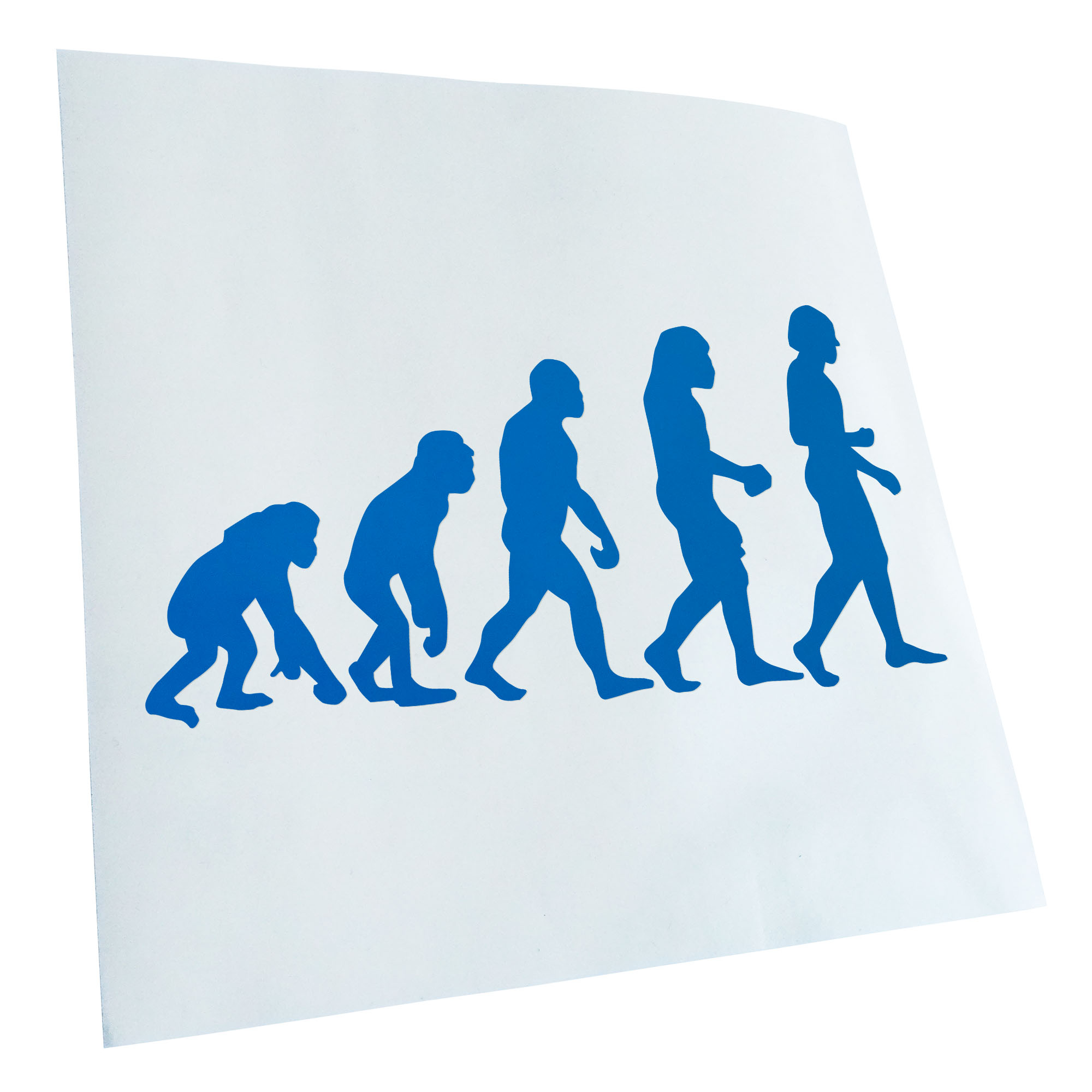 Autoaufkleber Evolution Charles Darwin Selbstklebend Fahrrad LKW - Picture 99 of 182