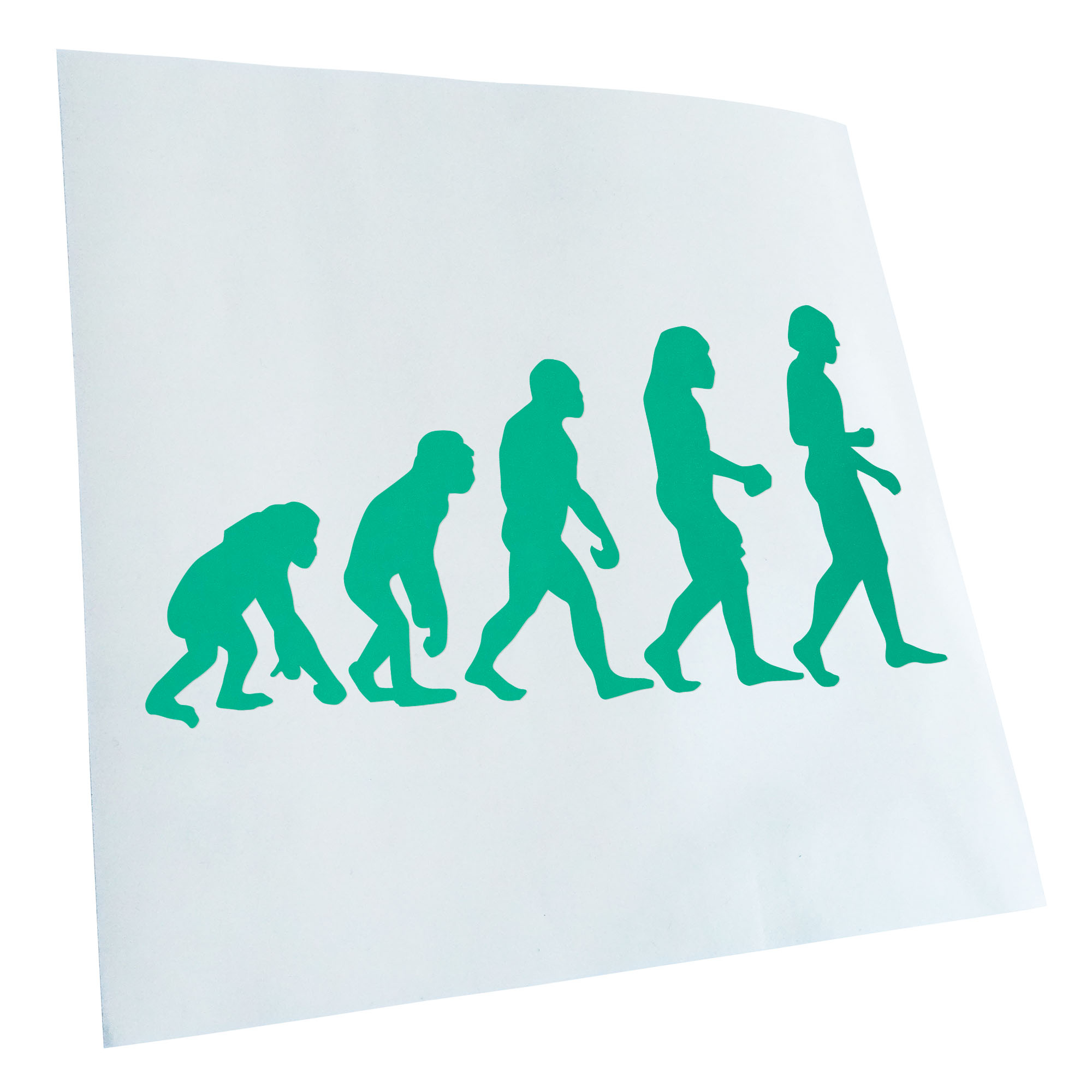 Autoaufkleber Evolution Charles Darwin Selbstklebend Fahrrad LKW - Picture 106 of 182