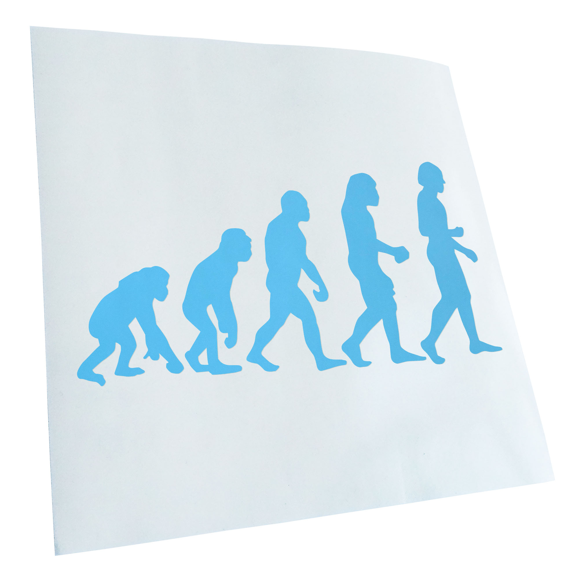 Autoaufkleber Evolution Charles Darwin Selbstklebend Fahrrad LKW - Picture 113 of 182