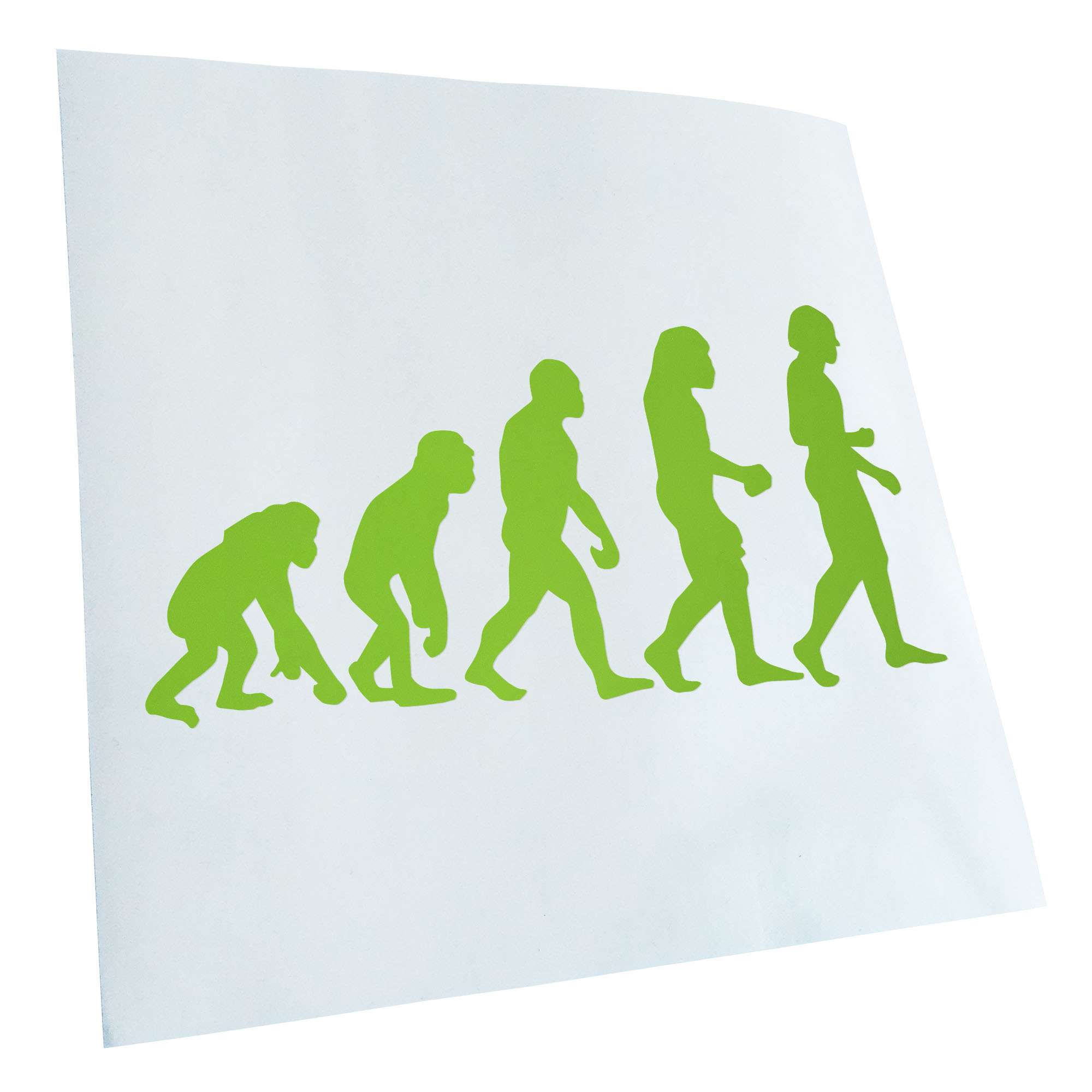 Autoaufkleber Evolution Charles Darwin Selbstklebend Fahrrad LKW - Picture 120 of 182