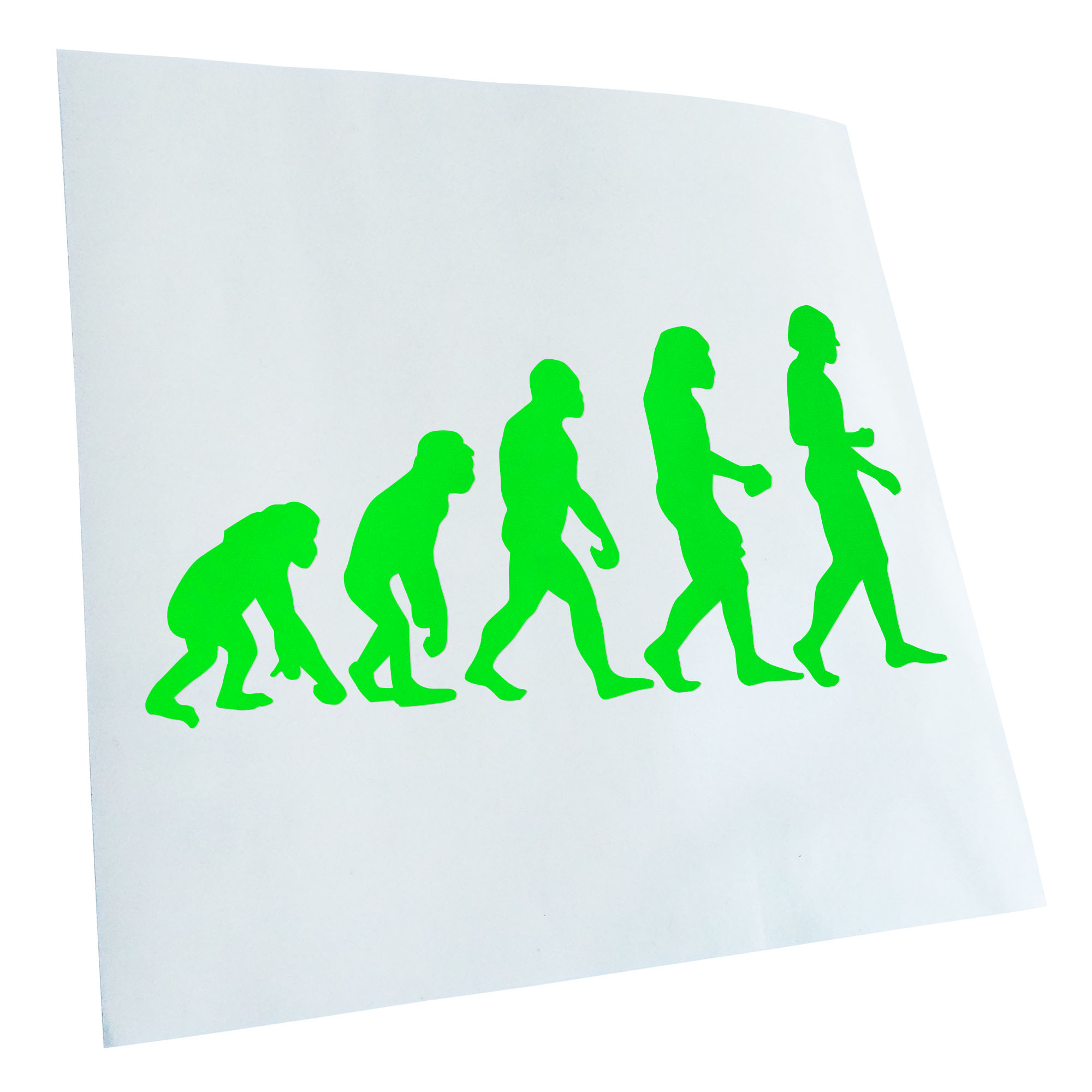 Autoaufkleber Evolution Charles Darwin Selbstklebend Fahrrad LKW - Picture 127 of 182