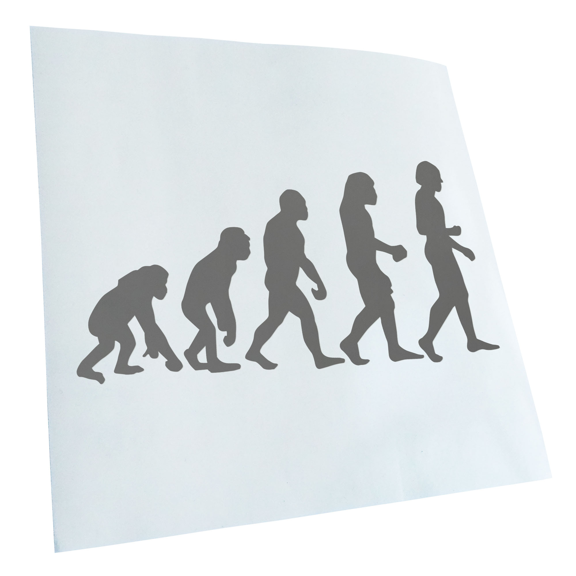 Autoaufkleber Evolution Charles Darwin Selbstklebend Fahrrad LKW - Picture 141 of 182