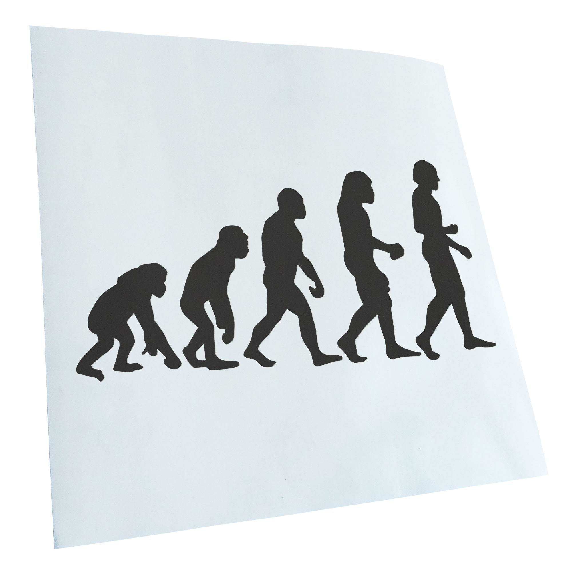 Autoaufkleber Evolution Charles Darwin Selbstklebend Fahrrad LKW - Picture 148 of 182