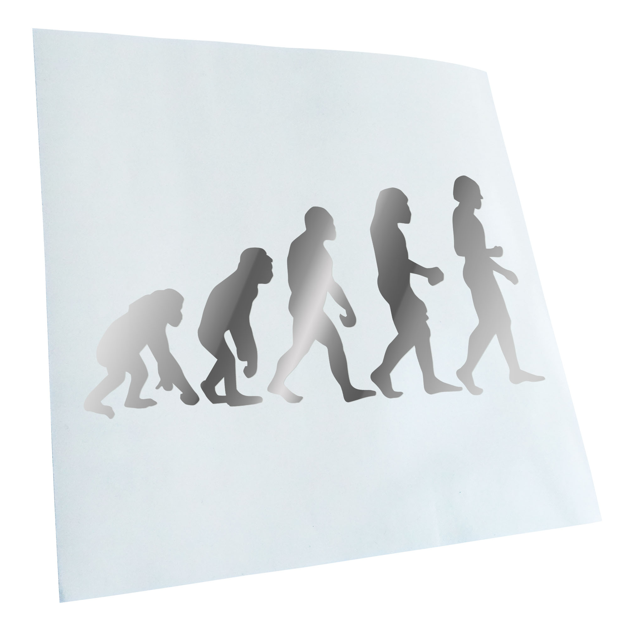 Autoaufkleber Evolution Charles Darwin Selbstklebend Fahrrad LKW - Picture 176 of 182